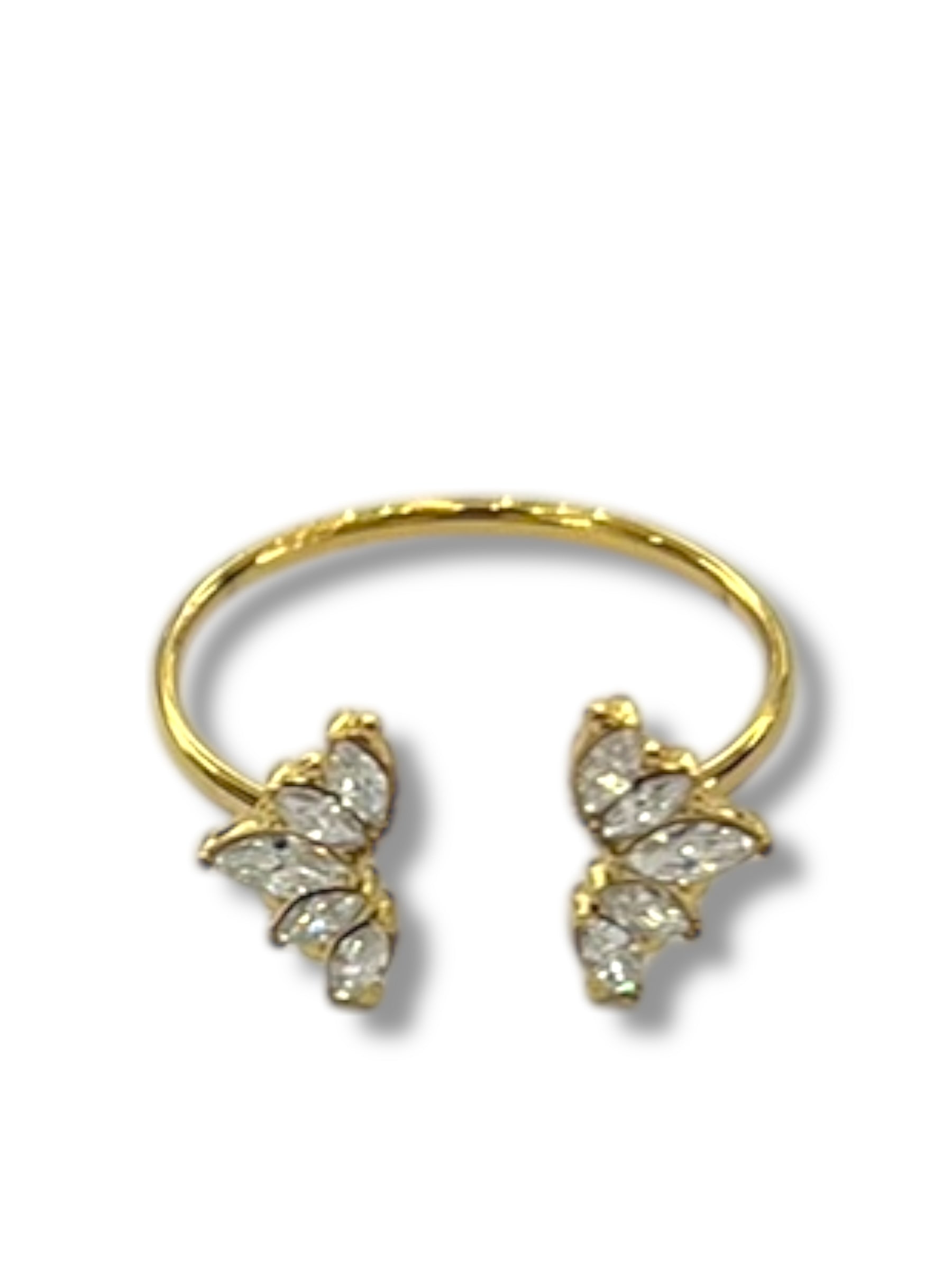 Anello Navettine
