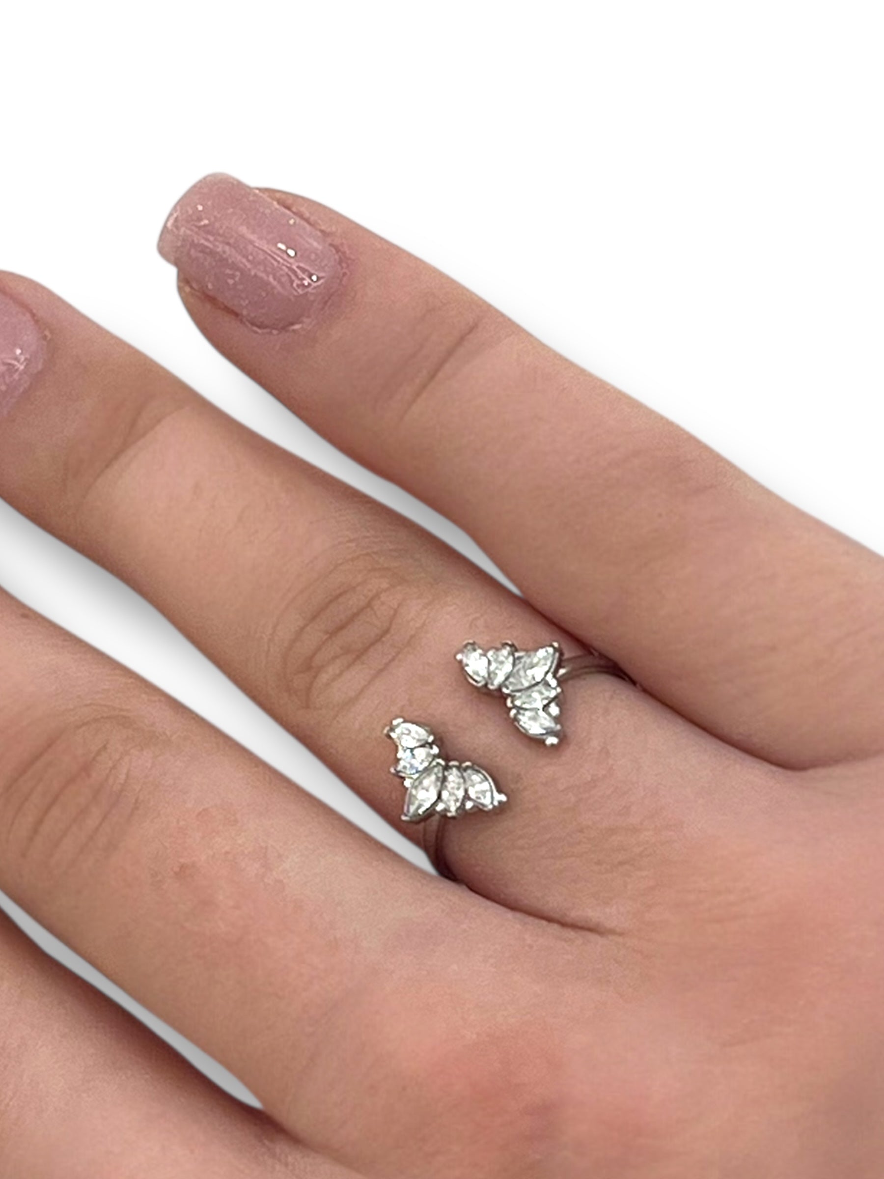 Anello Navettine