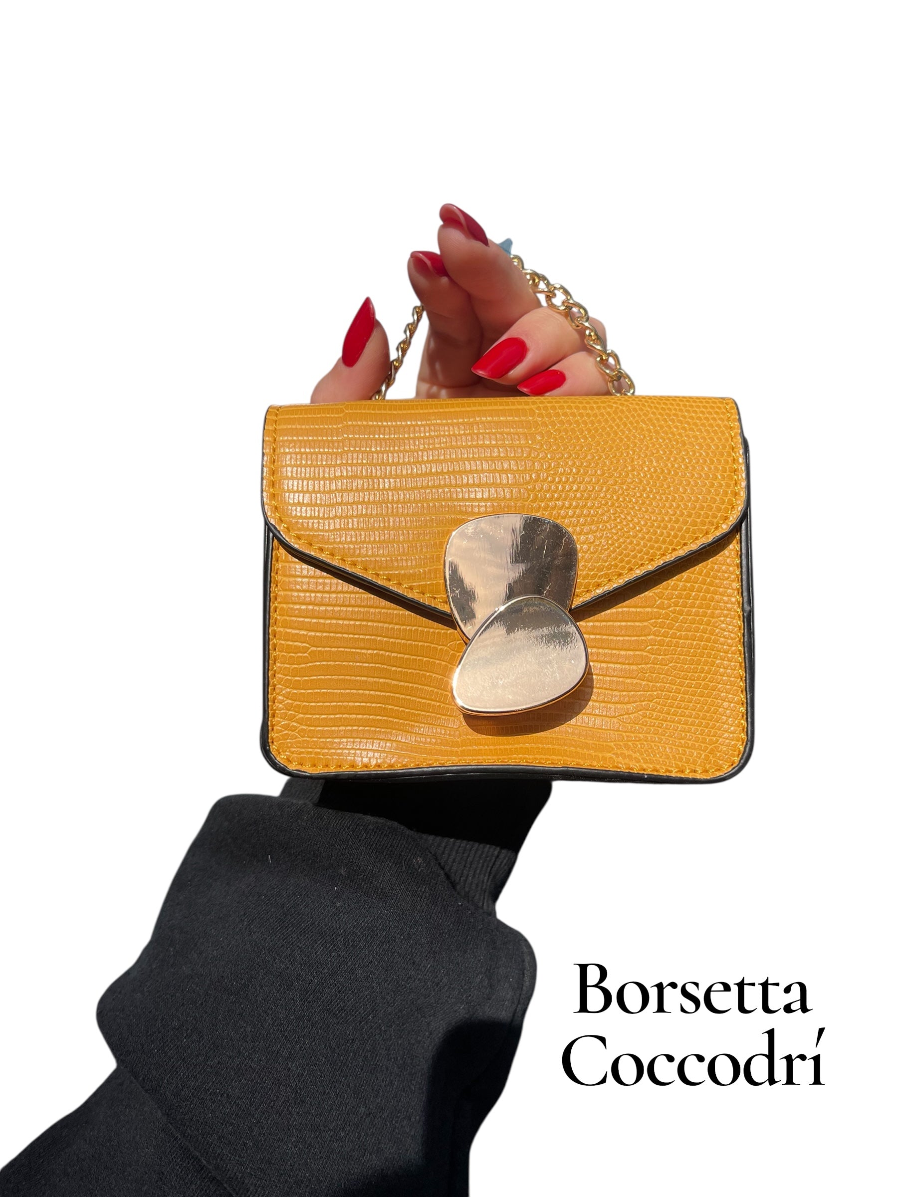 Borsetta coccodrí