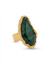 Anello Amazonia